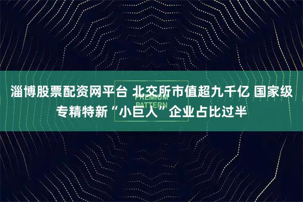 淄博股票配资网平台 北交所市值超九千亿 国家级专精特新“小巨人”企业占比过半