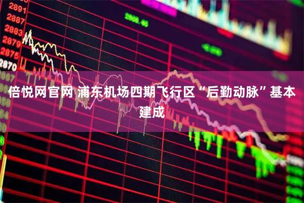 倍悦网官网 浦东机场四期飞行区“后勤动脉”基本建成